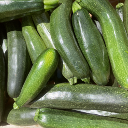 Courgette