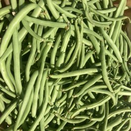Haricots