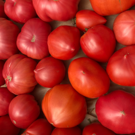 Tomates anciennes