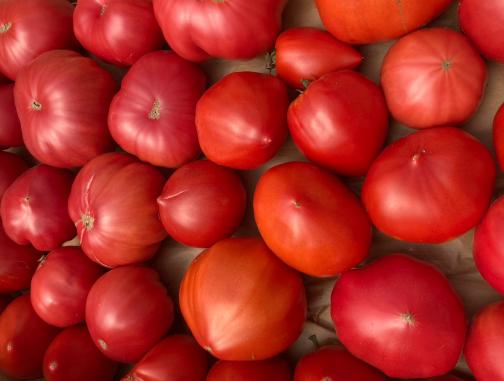 Tomates anciennes