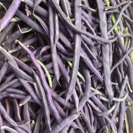 Haricots violets