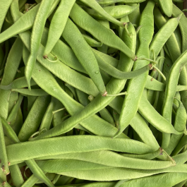 Haricots plats d’Espagne