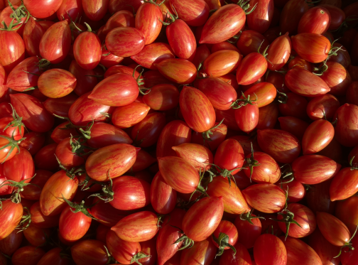 Tomates cocktail