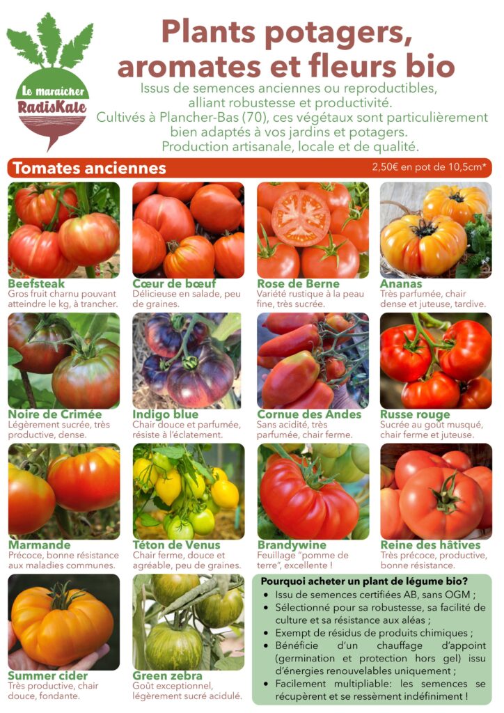 Plants de légumes fleurs et aromates bio à Plancher-Bas Belfort vente directe maraîcher tomates anciennes