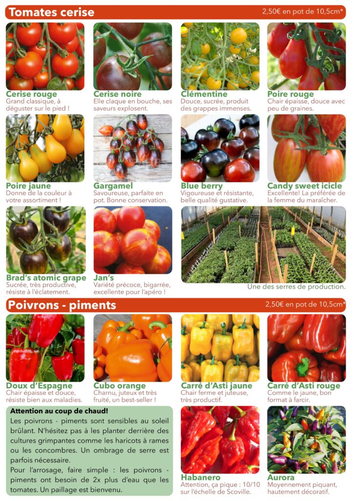 Plants de légumes fleurs et aromates bio à Plancher-Bas Belfort vente directe maraîcher tomate cerise poivron piment