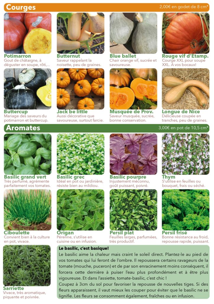 Plants de légumes fleurs et aromates bio à Plancher-Bas Belfort vente directe maraîcher courges aromates