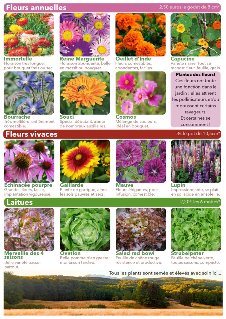Plants de légumes fleurs et aromates bio à Plancher-Bas Belfort vente directe maraîcher vivaces annuelles